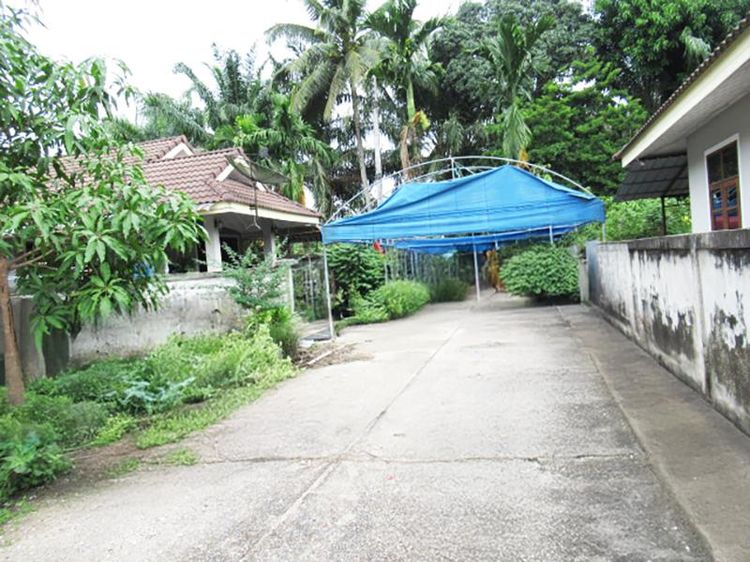 💟 บ้านเดี่ยว เหนือคลอง กระบี่ 💟 รูปที่ 4