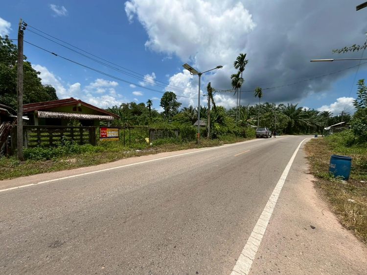 💟 บ้านพักอาศัยตึกชั้นเดียว 💟 รูปที่ 3