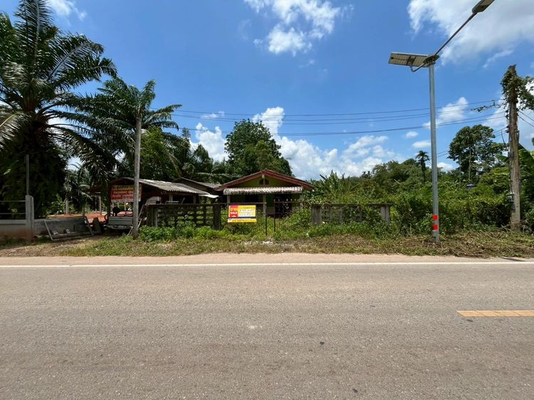 💟 บ้านพักอาศัยตึกชั้นเดียว 💟 รูปที่ 2