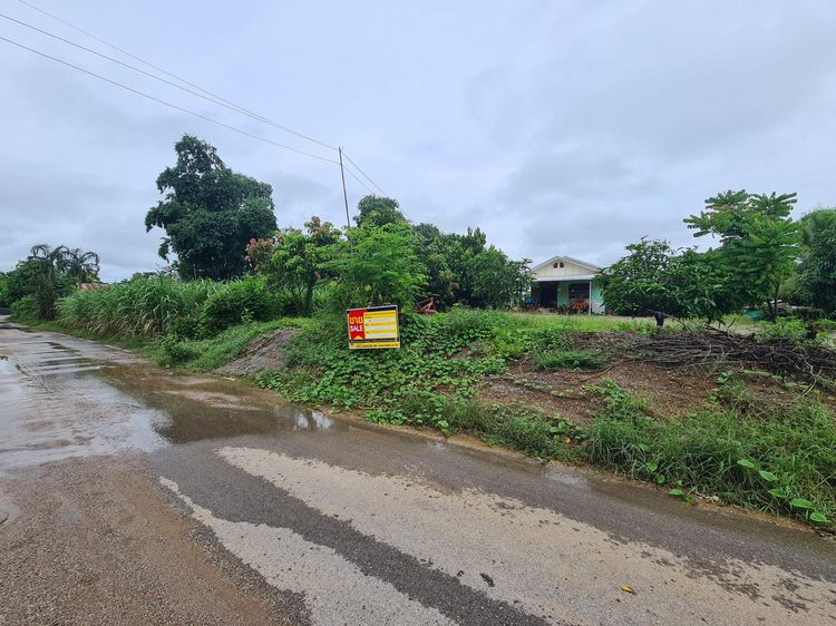 💟 บ้านเดี่ยว 1 ชั้น เลย 💟 รูปที่ 3