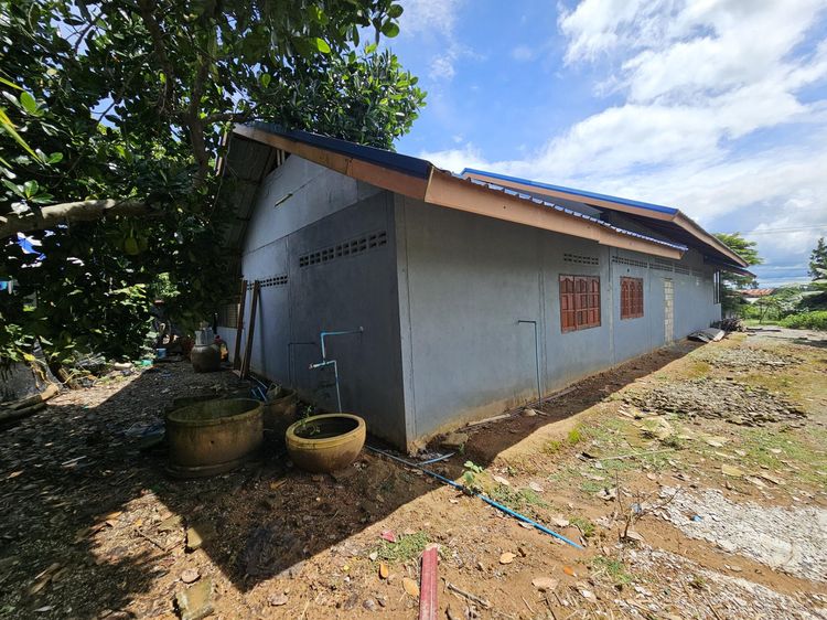 💟 บ้านเดี่ยว ชุมชนบ้านทรัพย์เจริญ เลย 💟 รูปที่ 3