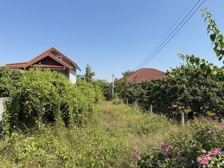 💟 บ้านเดี่ยว ท่าตุ้ม ลำพูน 💟 รูปที่ 4