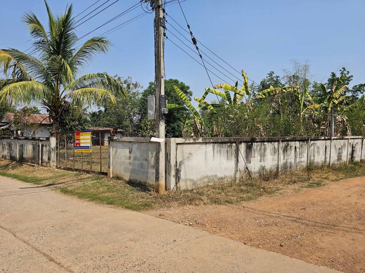 💟 บ้านเดี่ยว บ้านโนนเมือง หนองบัวลำภู 💟 รูปที่ 2