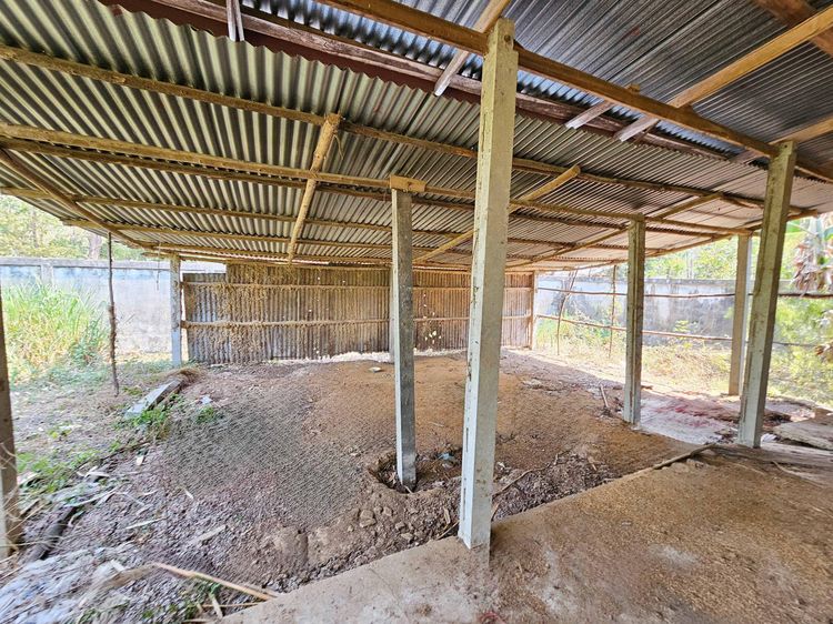 💟 บ้านเดี่ยว บ้านโนนเมือง หนองบัวลำภู 💟 รูปที่ 4