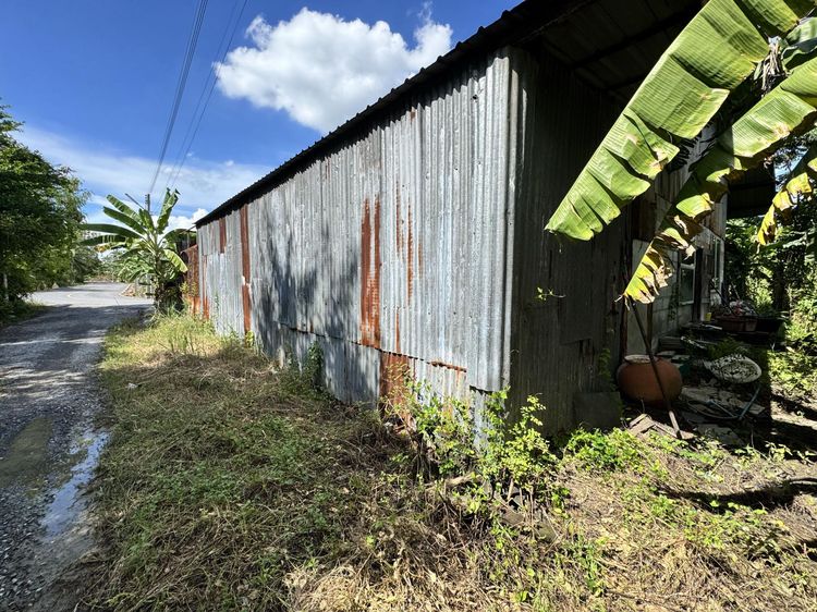 💟 บ้านเดี่ยวชั้นเดี่ยว นครปฐม 💟 รูปที่ 4