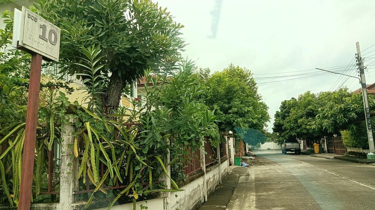 💟 บ้านเดี่ยว 2 ชั้น โครงการคุณาภัทร 5 💟 รูปที่ 2