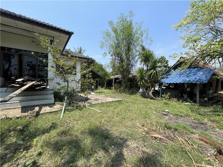 💟 บ้านเดี่ยวนครราชสีมา 💟 รูปที่ 4