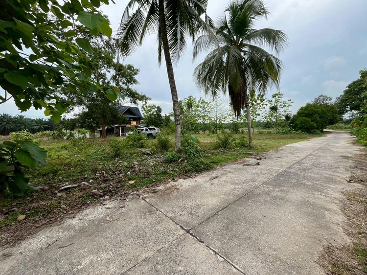 💟 บ้านเดี่ยว 2 ชั้น ทุ่งใหญ่ นครศรีธรรมราช 💟 รูปที่ 3