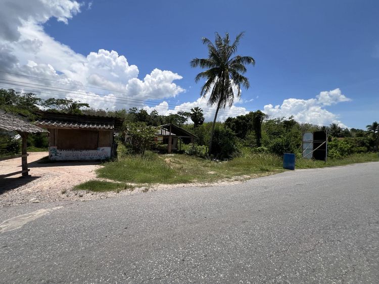 💟 บ้านเดี่ยวชั้นเดียว พัทลุง 💟 รูปที่ 2