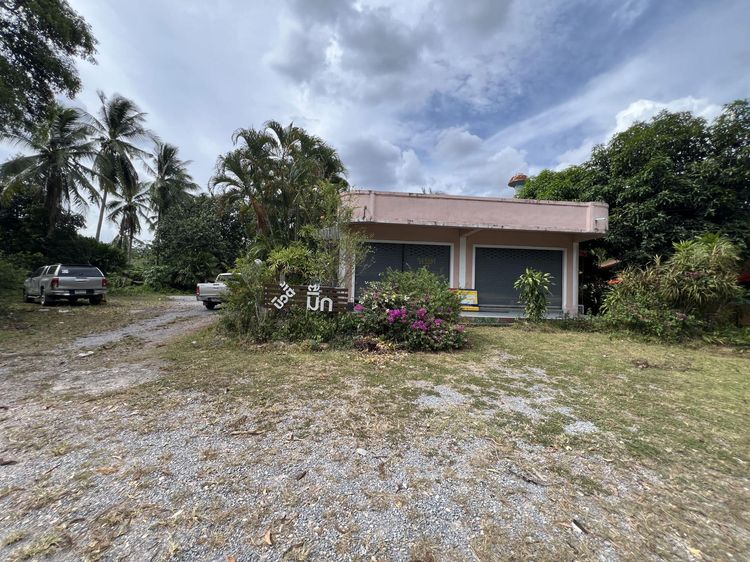 💟 บ้านเดี่ยวชั้นเดียว ควนขนุน พัทลุง 💟 รูปที่ 3