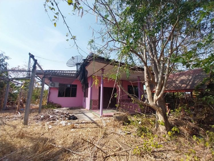 💟 บ้านเดี่ยว เมืองสรวง ร้อยเอ็ด 💟 รูปที่ 3