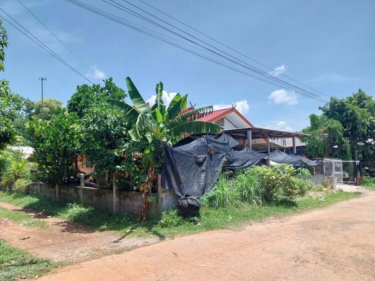 💟 บ้านเดี่ยว โครงการดงหวาย ร้อยเอ็ด 💟 รูปที่ 3