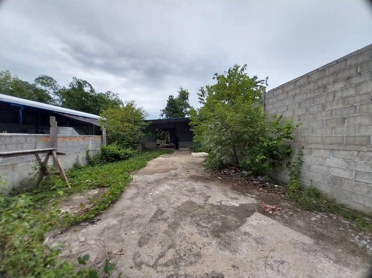 💟 บ้านเดี่ยวชั้นเดียว สงขลา 💟 รูปที่ 4