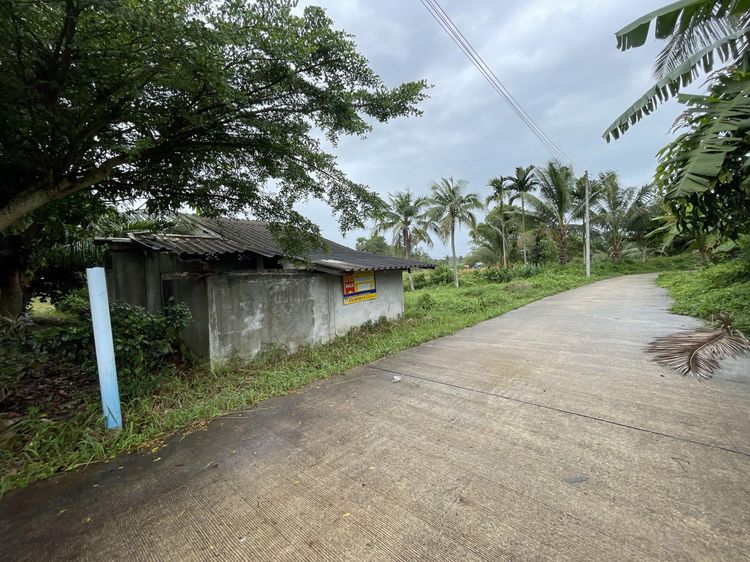 💟 บ้านเดี่ยว เมืองสงขลา 💟 รูปที่ 3