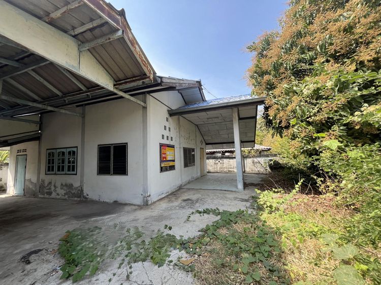 💟 บ้านเดี่ยว หนองโพธิ์ 💟 รูปที่ 2