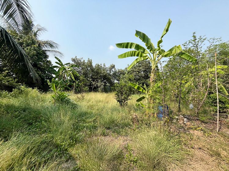 💟 บ้านเดี่ยว เดิมบางนางบวช สุพรรณบุรี 💟 รูปที่ 4