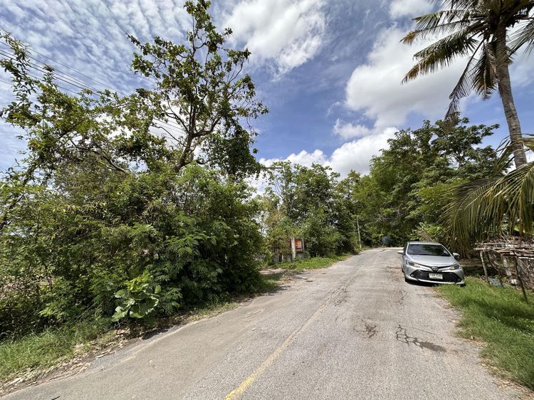 💟 บ้านเดี่ยวชั้นเดียว สุรินทร์ 💟 รูปที่ 3