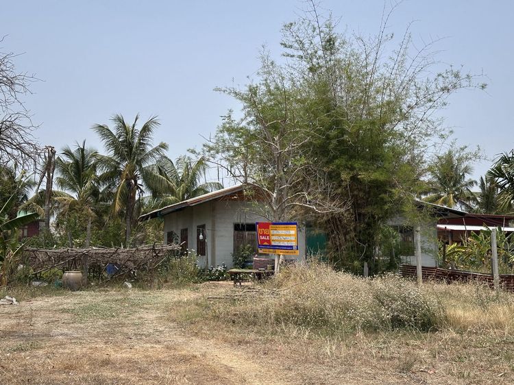 💟 บ้านเดี่ยวชั้นเดียว สุรินทร์ 💟 รูปที่ 2