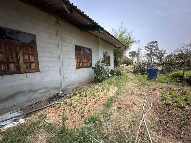 💟 บ้านเดี่ยวชั้นเดียว สุรินทร์ 💟 รูปที่ 3