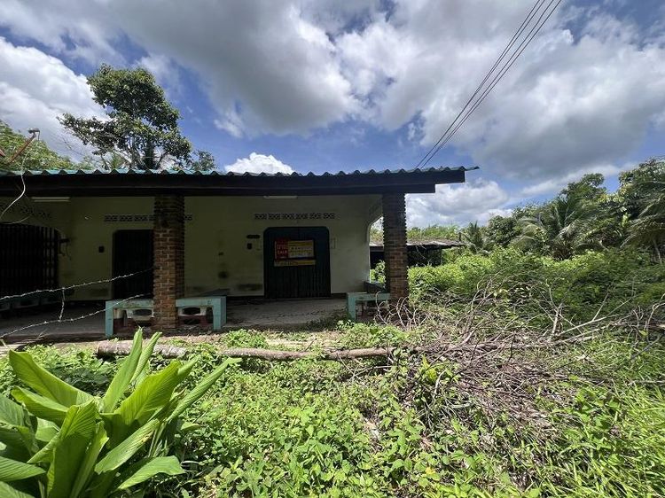 💟 บ้านพักอาศัยชั้นเดียว ตรัง 💟 รูปที่ 3