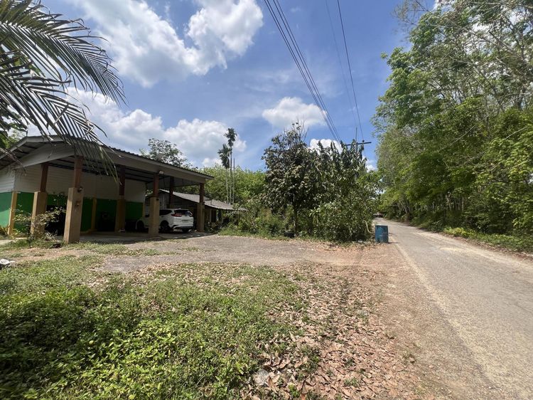 💟 บ้านเดี่ยว ตรัง 💟 รูปที่ 3