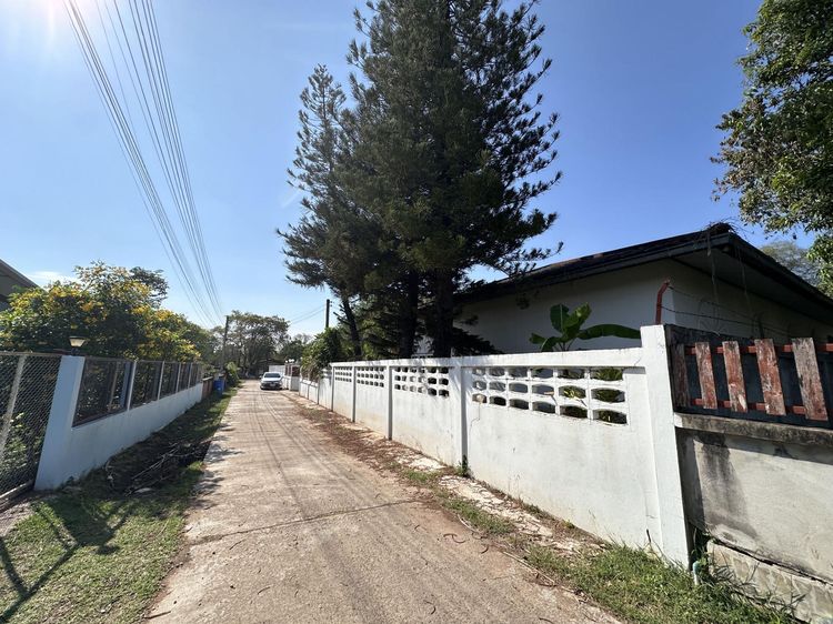 💟 บ้านเดี่ยว 2 ชั้น และอาคารชั้นเดียว 💟 รูปที่ 4