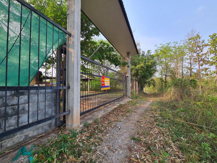 💟 บ้านครึ่งตึกครึ่งไม้ 2 ชั้น ตัวอำเภอบ้านผือ 💟 รูปที่ 2