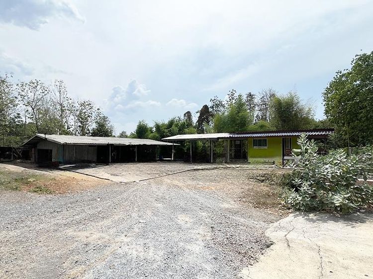 💟 บ้านเดี่ยว ปากท่อ ราชบุรี 💟 รูปที่ 3