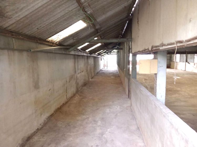 💟 บ้านเดี่ยว โครงการอยู่สบายเฟส 2 คลองหลวง 💟 รูปที่ 4