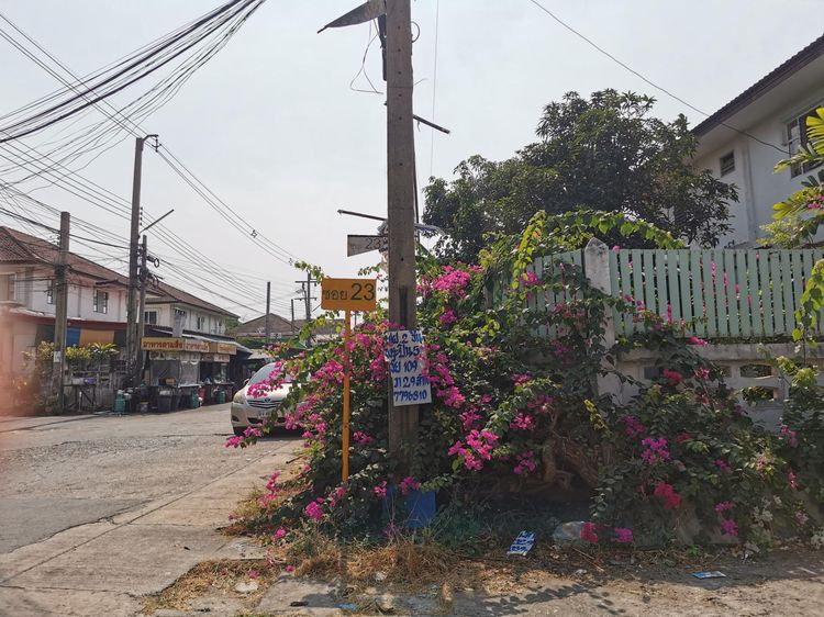 💟 ทาวน์เฮ้าส์ 2 ชั้น โครงการพระปิ่น 5 บางบอน 💟 รูปที่ 3