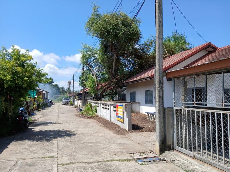 💟 บ้านแฝด โครงการเคหะนางรอง 2 บุรีรัมย์ 💟 รูปที่ 2