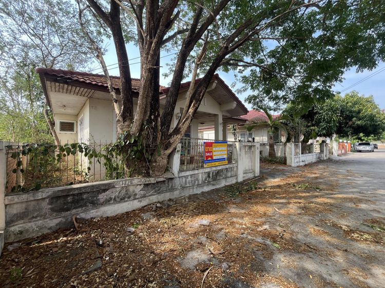 💟 บ้านเดี่ยว โครงการโฮมการ์เด้นวิลล์ 2 💟 รูปที่ 3