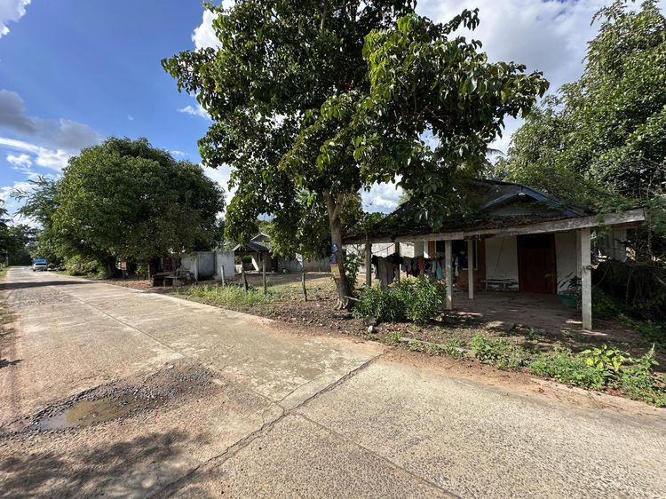💟 ที่ดินพร้อมสิ่งปลูกสร้าง 💟 รูปที่ 4