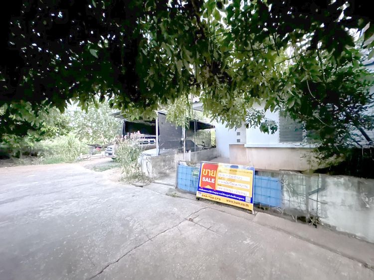 💟 บ้านเดี่ยว เมืองนครราชสีมา 💟 รูปที่ 3