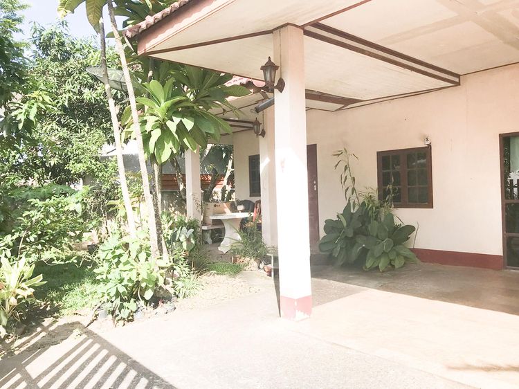 💟 บ้านเดี่ยว เมืองตรัง 💟 รูปที่ 2