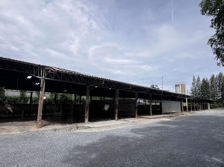 💟 บ้านเดี่ยว นครปฐม 💟 รูปที่ 3