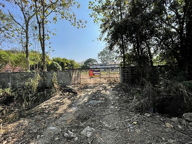 💟 โรงงาน สันกำแพง 💟 รูปที่ 3