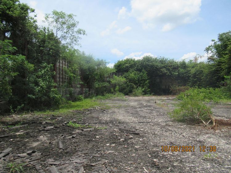 💟 โรงงานติดถนนสาย 401 สุราษฎร์ธานี 💟 รูปที่ 4