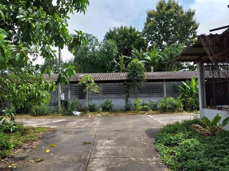 ð āđāļĢāļāļāļēāļ āđāļāļĢāļāļāļēāļĢāļāđāļēāļāđāļ§āļĩāļĒāļāļāļāļāļāļēāļāļĩ āđāļ§āļĩāļĒāļāļāđāļēāđāļāđāļē ð āļĢāļđāļāļāļĩāđ 3