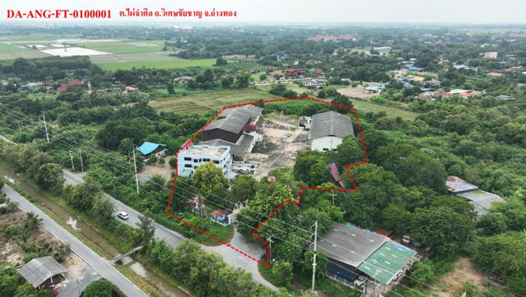 💟 โรงงาน ไผ่จำศิล อ่างทอง 💟