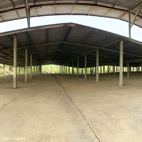 ð āđāļĢāļāļāļēāļ āļāļīāļāļīāļāļĢ ð āļĢāļđāļāļāļĩāđ 3