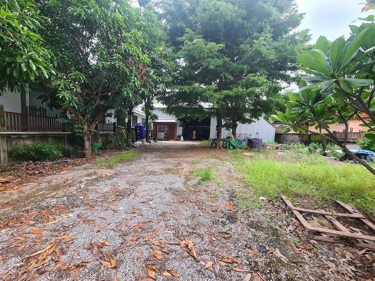 ð āđāļĢāļāļāļēāļ āđāļĄāļ·āļāļāļāļļāļāļĢāļāļēāļāļĩ ð āļĢāļđāļāļāļĩāđ 3