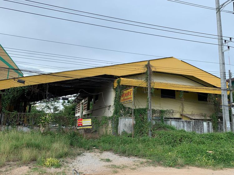 💟 โรงงาน ฝาง 💟