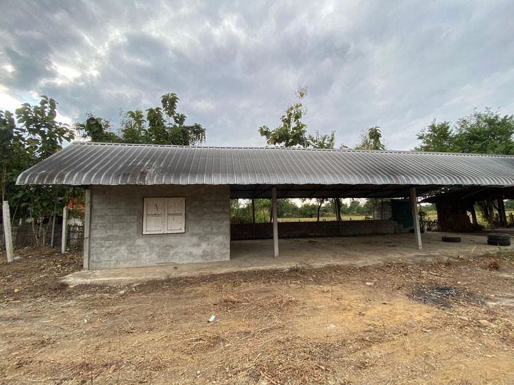 ð āđāļĢāļāļāļēāļ āđāļĄāļ·āļāļāļĨāļģāļāļđāļ ð āļĢāļđāļāļāļĩāđ 3