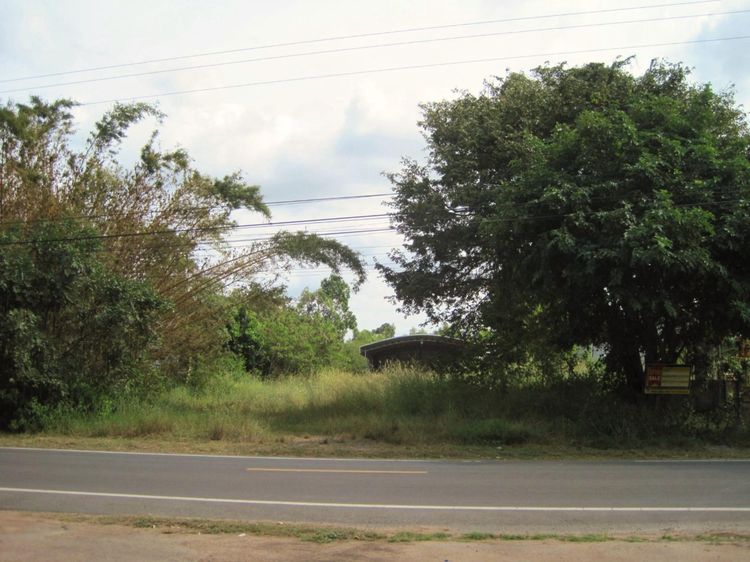 💟 โรงงาน เมืองยโสธร 💟 รูปที่ 2