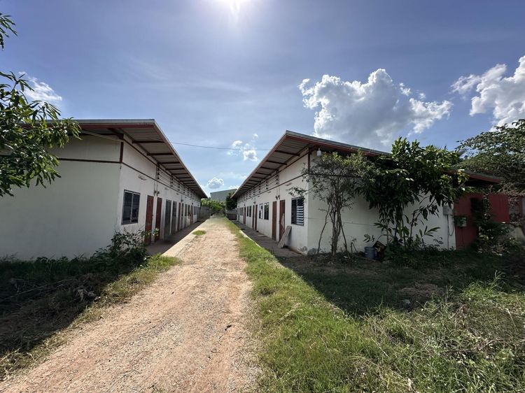 💟 โรงงาน นครราชสีมา 💟 รูปที่ 3