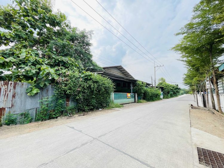 💟 โรงงาน วังน้อย 💟 รูปที่ 4