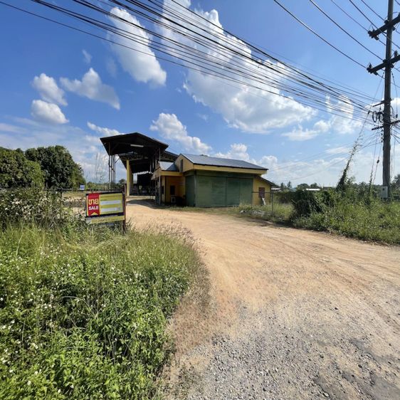 💟 โรงงาน ฝาง 💟