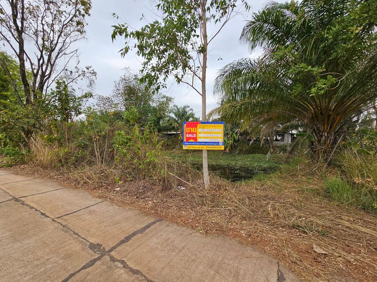 ð āđāļĢāļāđāļĨāļĩāđāļĒāļāļŠāļļāļāļĢ āļāļķāļāļāļēāļŽ ð āļĢāļđāļāļāļĩāđ 2