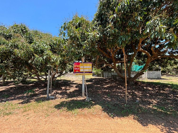 💟 โรงงาน ดอยหล่อ 💟